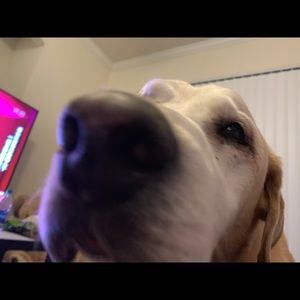 Meet your Posher, Christine